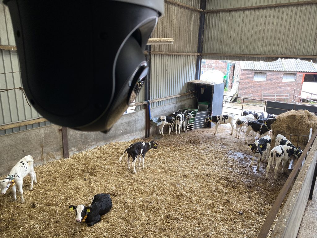 HD CCTV installation monitoring farm perimeter, animal welfare, and equipment. Investing in the safety of your animals. Knowing exactly what’s happening in the calving / lambing sheds.